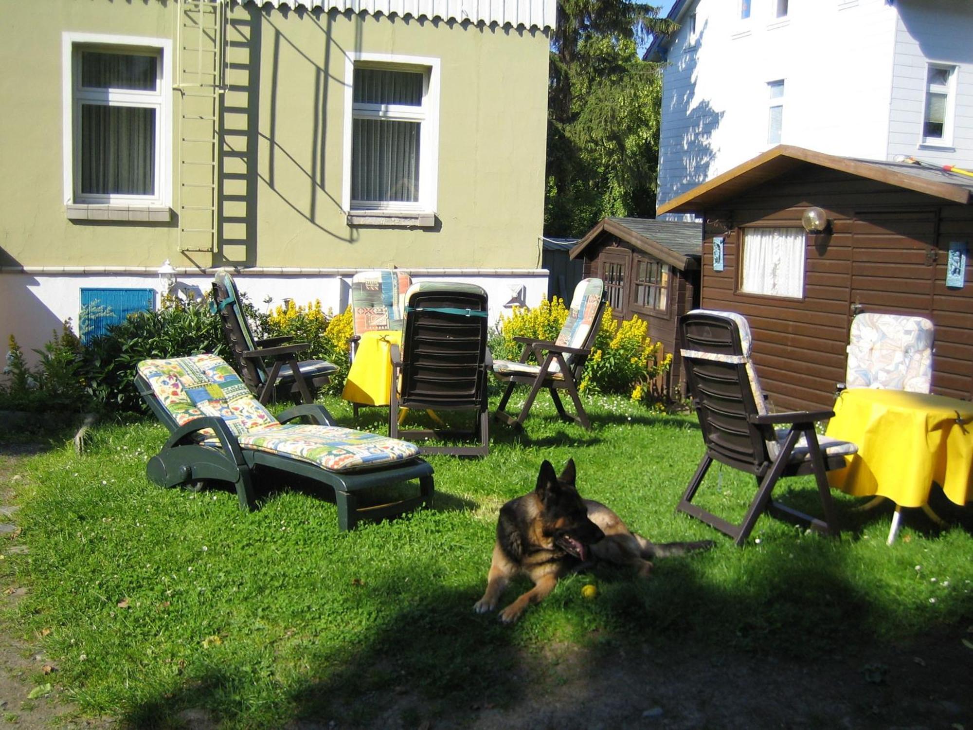 Hotel Fernblick Bad Harzburg Eksteriør bilde